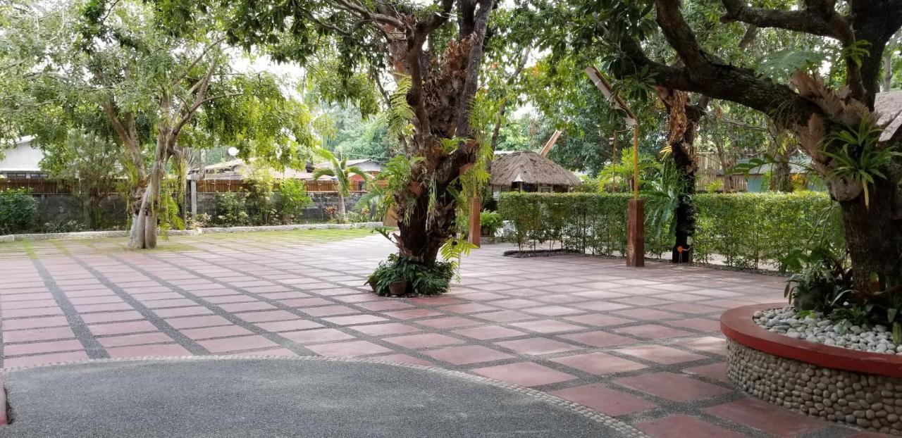 Buenavista Family Inn Tagudin Exteriör bild